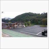 リーフ８ヶ月
