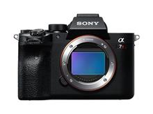 α7RⅣ　現像問題の原因特定と解決　そして撮影