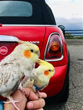  MINI 定期点検のご案内