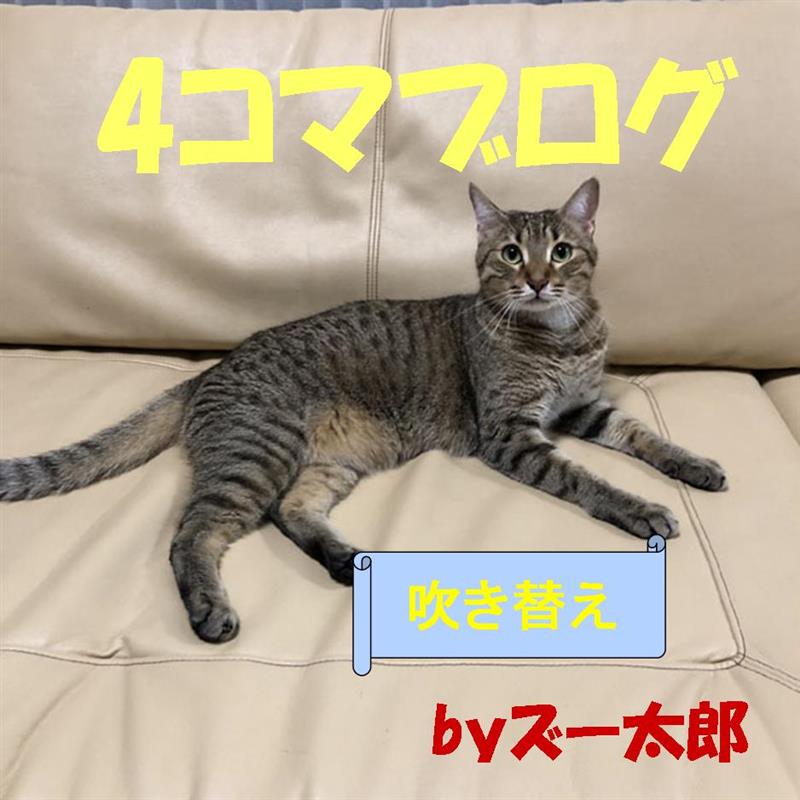 犬 猫好き ズー太郎のブログ 趣味の車弄りが家族の笑顔の中心にありますように みんカラ