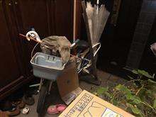 朝顔も避難