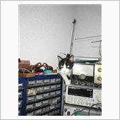 ＴＳ－７９０修理　４