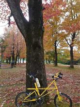 雨のち自転車日和♪