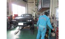 ターくんの入院