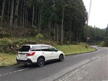 送迎の合間に峠道を愉しむ。