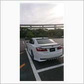 愛犬とドライブ🎶🚗💨🎶