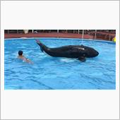 子供と一緒に田代運動公園でプ ...