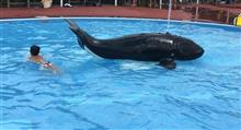 子供と一緒に田代運動公園でプールとデイキャンプ＆焚火