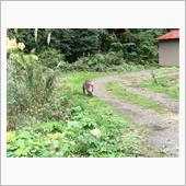 下北半島へ行く