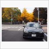 札幌の紅葉はピークです。
