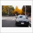 札幌の紅葉はピークです。