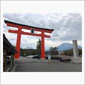 もう少し早く出てくれればなぁ ...