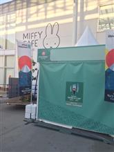ラグビーワールドカップ日本2019 ファンゾーンin岩手・釜石 ラグビーワールドカップ日本2019 ファンゾーンin岩手・釜石
