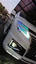 走らないで終わってしまった(((・・;)