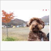 ぐんまで紅葉狩り🍁