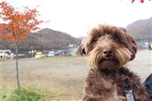 ぐんまで紅葉狩り🍁