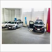 武装解除‼️