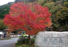 RX-8と遊ぶ　紅葉が見たくてTRG