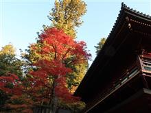 朝の紅葉狩り