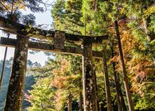 近場でもみじ狩。