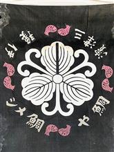 近くて遠い街、松山へ