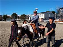 体験 乗馬体験とフェアレディ 体験 乗馬体験とフェアレディ