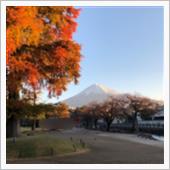 満月の行方🗻💍