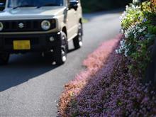 ジムニーで近場の林道へ