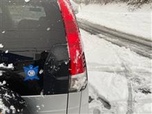 雪が降ったら