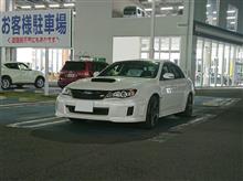 お帰り‼️