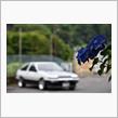 夏の思い出  ハチロクさんとの思い出*