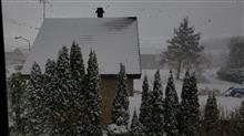 ◆ついに積雪に。。。◆