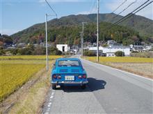 今年の秋
