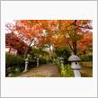 紅葉の名所「久安寺」に行って来ました😆