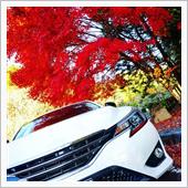 紅葉を求めて