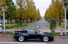 晴海ヒストリックカー＆お台場紅葉きれいです