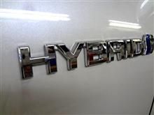 新型RAV4登場♪ 新型RAV4登場♪