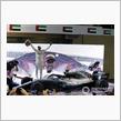 F1 2019　アブダビGP　タイヤ選択