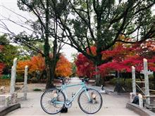 平地に紅葉前線やってきた