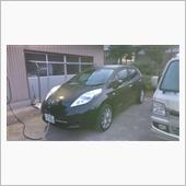 ブラックリーフ１日目
