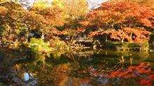 日比谷公園、紅葉、満開でした。2019.11.29　東京
