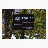 紅葉の裏磐梯方面②　桧原湖畔 ...