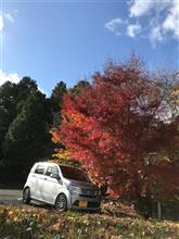 いつものお蕎麦屋さんが閉店する！！！