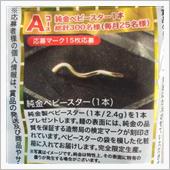 最近は、周囲に考慮のないジコ ...