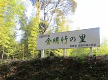 黄金に輝く竹林 黄金に輝く竹林