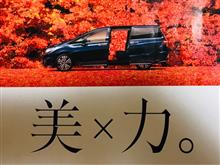 今年の紅葉コラボイメージは…⁉️