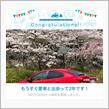 愛車と出会って2年！