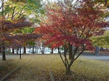 公園を散策 公園を散策