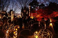 近場で紅葉、ライトアップも絶景！