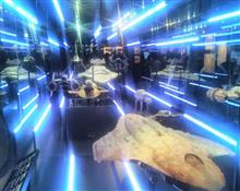 STAR WARS(TM) Identities: The Exhibition